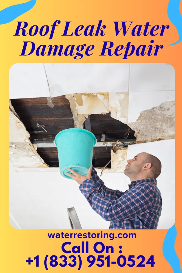 Roof Leak Water Damage Repair in Centerville, SD