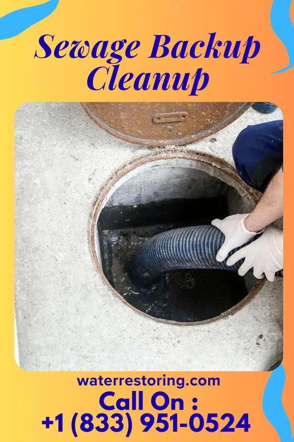 Sewage Backup Cleanup in Centerville, SD