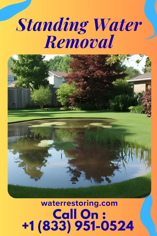 Standing Water Removal in Centerville, SD